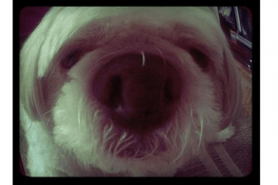 Скриншот приложения FishEye Camera - №2