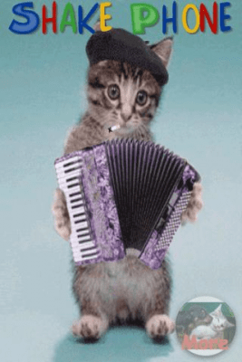 Скриншот приложения Silly Cat - №2