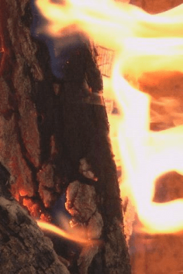Скриншот приложения Fireplace Closeup - №2