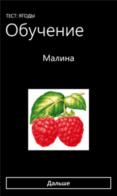 Скриншот приложения Тест: Ягоды - №2