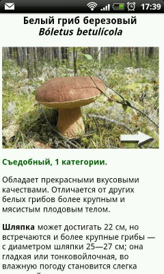 Скриншот приложения Грибы. Советник - №2
