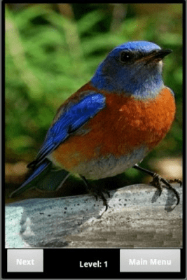 Скриншот приложения Bird Puzzle - №2