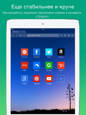 Скриншот приложения Dolphin браузер для iPad - №2