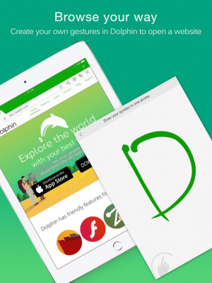 Скриншот приложения Dolphin for MobileNow HD - №2