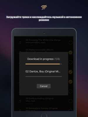 Скриншот приложения Эквалайзер+ pro bass booster - №2