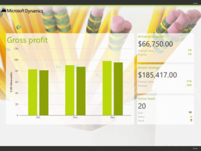 Скриншот приложения Microsoft Dynamics Business Analyzer - №2