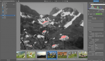 Скриншот приложения Zoner Photo Studio FREE - №2