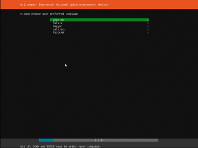Скриншот приложения Ubuntu Server - №1