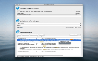 Скриншот приложения Araxis Replace In Files - №2