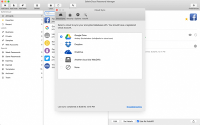 Скриншот приложения SafeInCloud - Password Manager - №2
