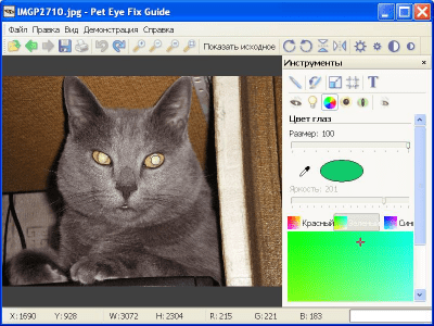 Скриншот приложения Pet Eye Fix Guide - №1