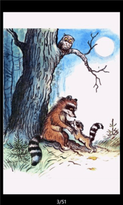 Скриншот приложения Raccoon Reader Lite - №2