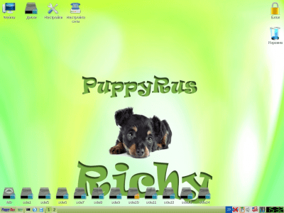 Скриншот приложения PuppyRus Richy beta 3 - №2