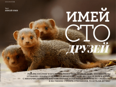 Скриншот приложения Вокруг Света - №2
