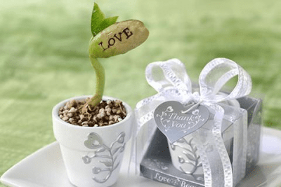 Скриншот приложения Wedding Favor Ideas - №2