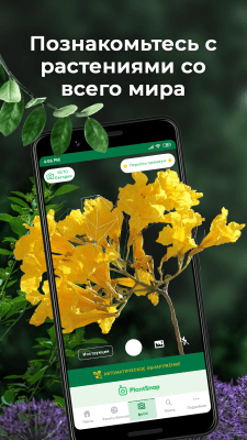 Скриншот приложения PlantSnap - Определение Растений, Деревьев, Цветов - №1