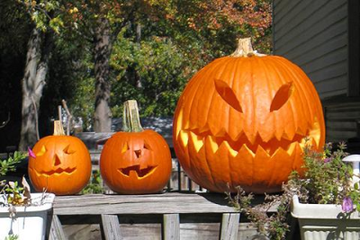 Скриншот приложения Pumpkin Carving Ideas - №2