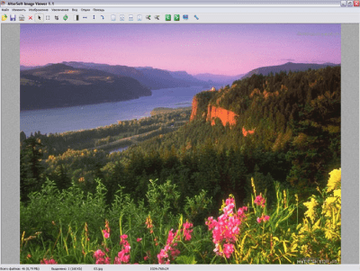 Скриншот приложения Altarsoft Image Viewer - №2