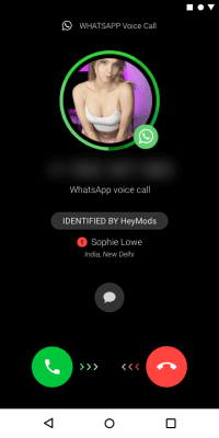 Скриншот приложения GBWhatsApp Pro - №2