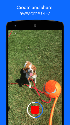 Скриншот приложения Gfycat Loops: GIF Cam+Recorder - №1