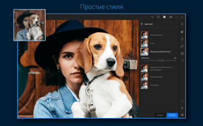 Скриншот приложения Adobe Lightroom for iPad - №2