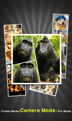 Скриншот приложения InstaPicFrame for Instagram - №2