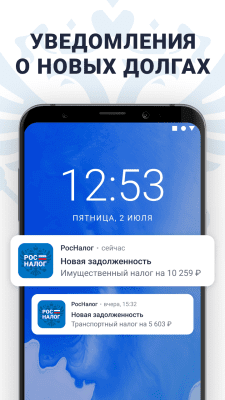 Скриншот приложения РосДолги: долги по налогам и приставам, узнать ИНН - №2