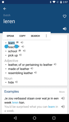 Скриншот приложения Dutch English Dictionary - №2