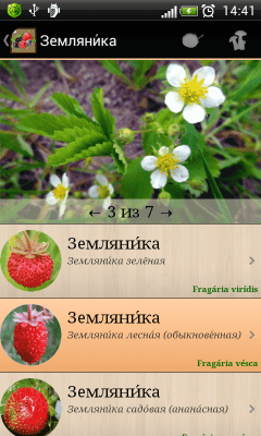 Скриншот приложения Ягоды. Справочник - №2