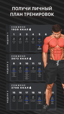 Скриншот приложения Тренировки дома Muscle Booster - №2