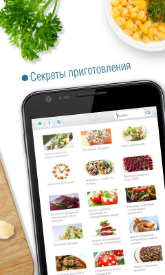 Скриншот приложения Салаты Lite - №2
