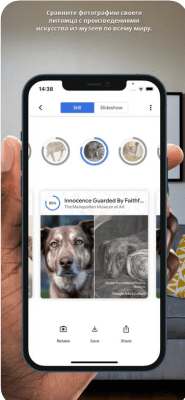 Скриншот приложения Google Arts & Culture - №2