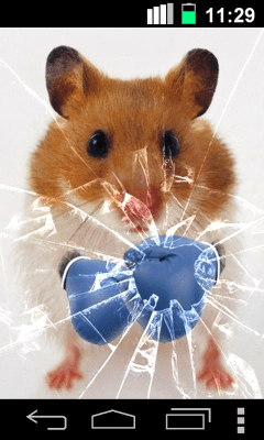 Скриншот приложения Funny Hamster Cracked Screen - №2
