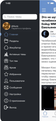 Скриншот приложения Yaplakal.com — сообщество ЯП - №2