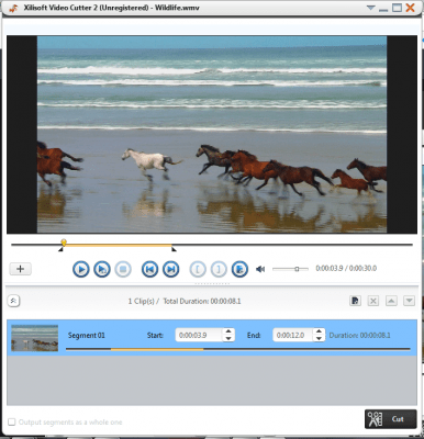 Скриншот приложения Xilisoft Video Cutter 2 - №2