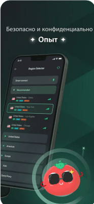 Скриншот приложения VPN Tomato - Unlimited Proxy - №2