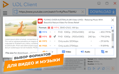 Скриншот приложения UDL Client - №2