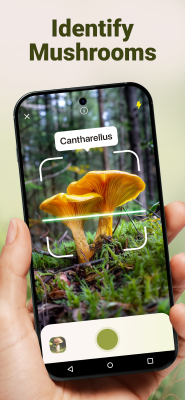 Скриншот приложения Mushroom ID - №1