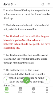 Скриншот приложения King James Bible - Verse+Audio - №1