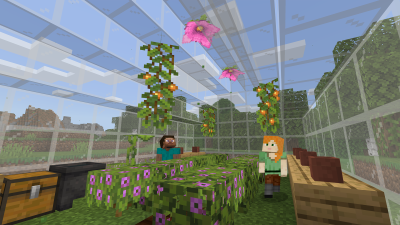 Скриншот приложения Minecraft Education Preview - №2