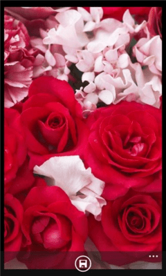 Скриншот приложения Flower Wallpapers - №2