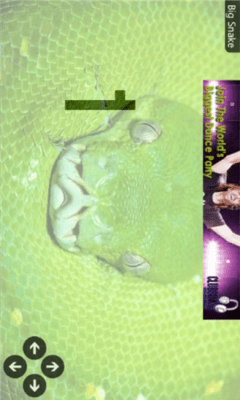 Скриншот приложения Big Snake - №2