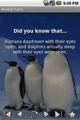 Скриншот приложения Animal Facts - №2