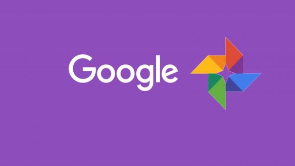Google Фото научился распознавать домашних животных на фотографиях