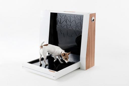 Inubox: туалет для собак за 1200 долларов