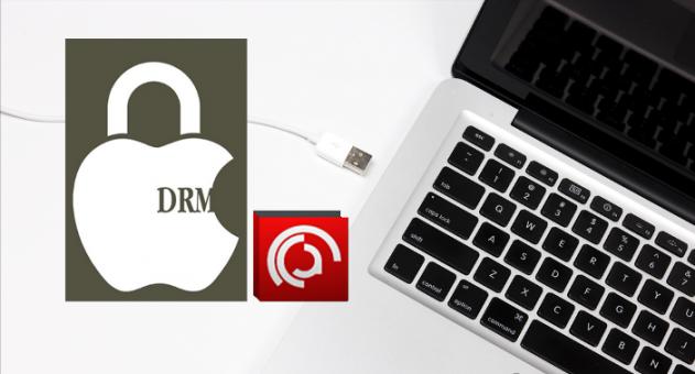 Темная сторона DRM: что нужно знать о защите “читалок” сегодня